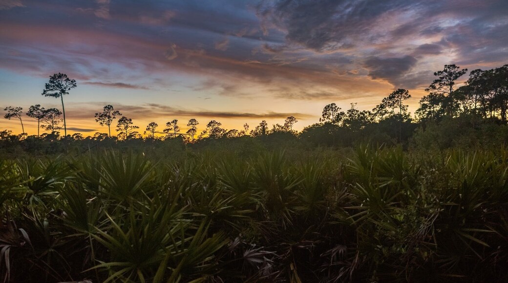 Another dramatic Florida sunset. #bvsblue