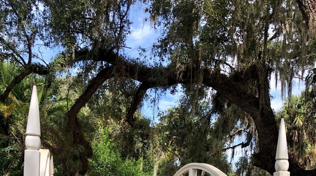 Koreshan was to be a planned community with an anticipated population of 10 million! The city would embrace formal gardens laid out in geometric patterns. This bridge, reconstructed in 2004 by volunteers, is part of the formal gardens. The community came to an end in 1961 when the last four members gave the property to the State of Florida for a Park.