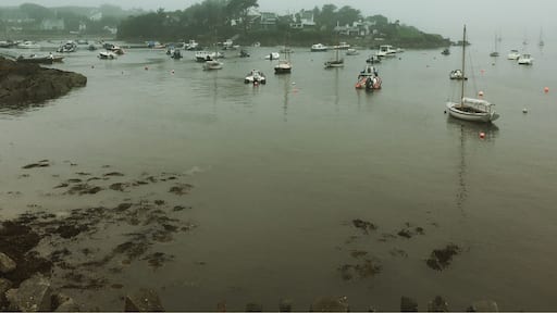 Foggy outside, in Baltimore, Cork😁