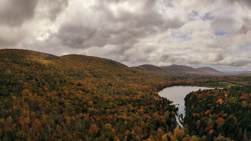 Peak Foilage - Lake Colgate, New York