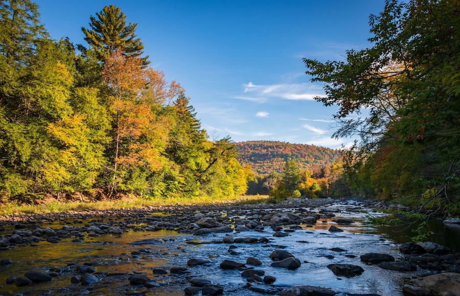 Ein Fluss mit Felsen, umgeben von herbstlich gefärbten Bäumen und einem klaren, blauen Himmel.