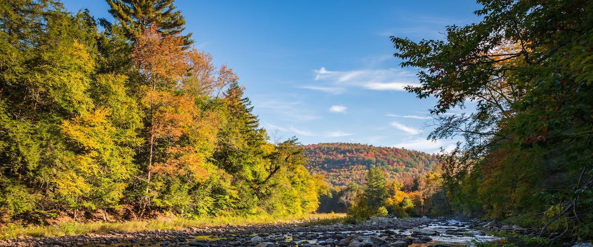 A river with rocks, surrounded by autumn-colored trees and a clear blue sky.