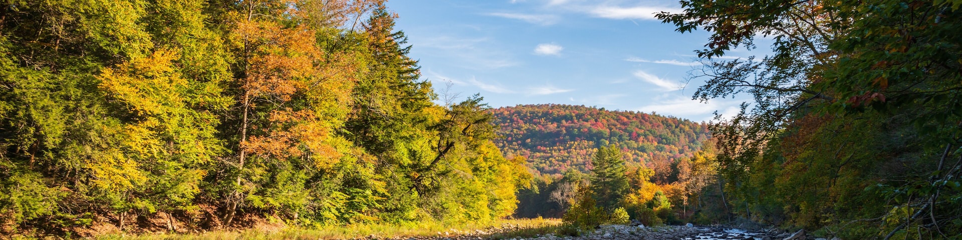 A river with rocks, surrounded by autumn-colored trees and a clear blue sky.