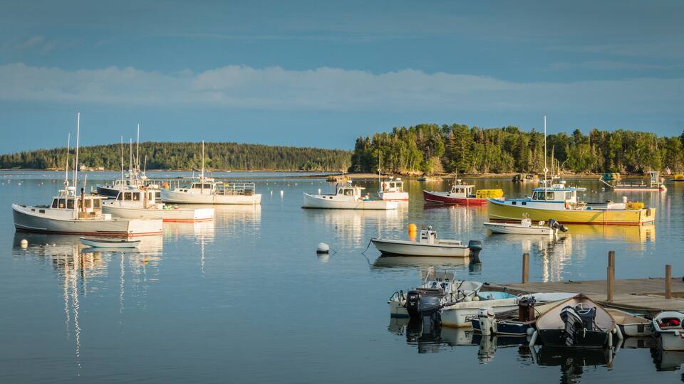 A marina with various boats docked, calm water, and a forested shoreline in the background.