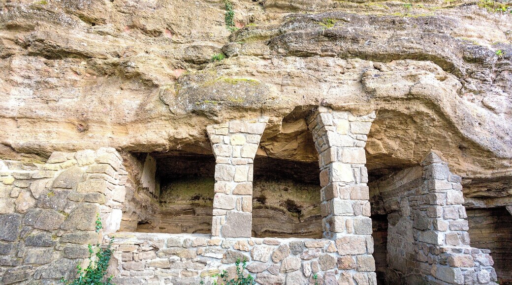#Details
These small caves were carved into the high basalt tufa cliffs on the eastern side of the Óvár hill. Russian monks are reputed to have lived here brought here from the Great Principality of Kiev by the wife of the Hungarian king I. Endre around the year 1050. Only three groups of cells are visible today, the rest were buried in 1952 by a rockfall. The caves are accessible via a marked trail.