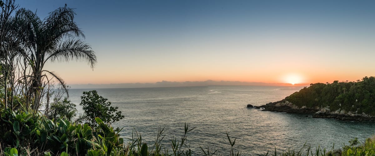 A coastal landscape with a sunset over the ocean, a grassy hill, and dense vegetation.