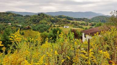 Another #hiddentreasure of Appalachia is this view from Vilas Overlook. I managed to snap a picture at the perfect time—the leaves are changing colors, the goldenrod is in full-bloom, and the cloudy sky is covering the hills like a blanket. That’s right—not even the cloudy skies can diminish the incredible view that this is. I found it on my way to Trashcan Falls, and it is up a dirt road. The view was different than other overlooks like Thunderhill and Howard’s Knob in my opinion because this one was nestled right in a residential area. You can even see the house I had to park above to get this shot! Luckily it was a lazy Sunday and nobody seemed to notice I was there—they were all probably napping after church! #appalachianechoes
#vilas #overlook #appalachia #mountains