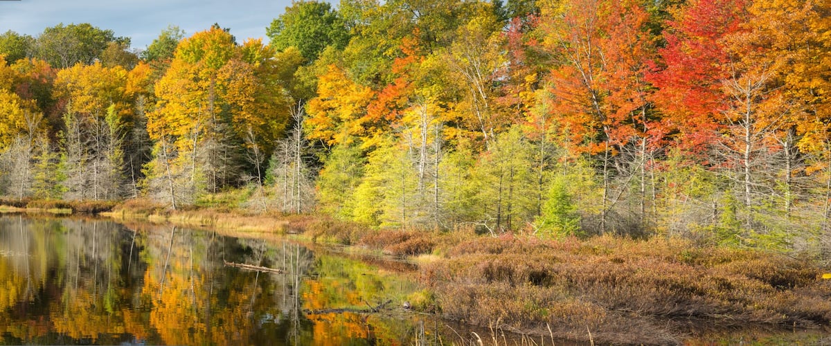 A lake surrounded by autumn-colored trees reflecting the vibrant foliage.