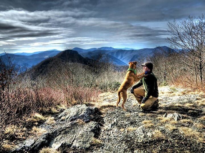 Summit one of "three top" with my best friend. Challenging hike but the smokies were beautiful this day