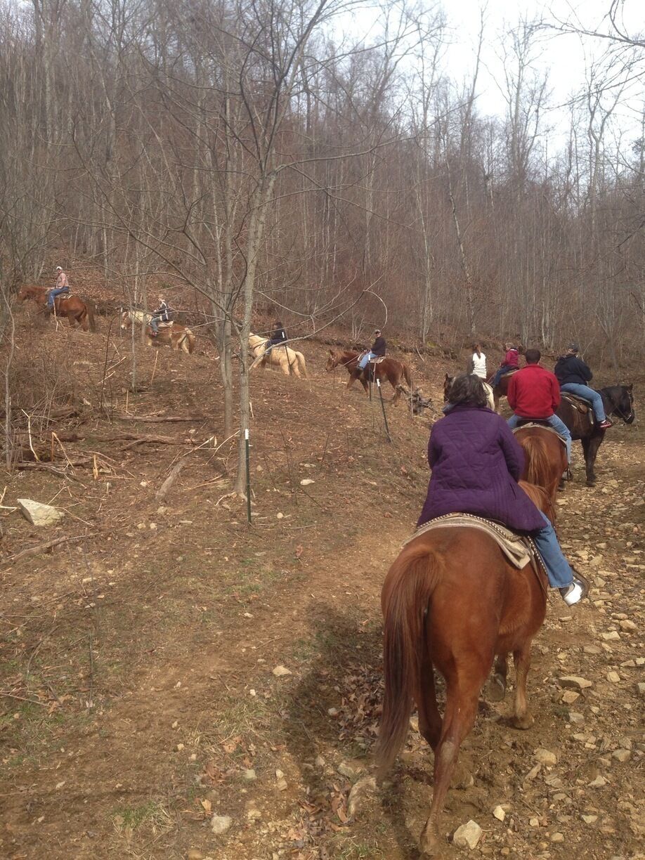 If you're in Boone this is a great place to go! They throw you up on a horse and bring you up some mountainous trails. It was 2-3 hours overall and they have an awesome rope swing by their "office." We all had a blast and my 70 year-old grandmothers were able to participate too. 