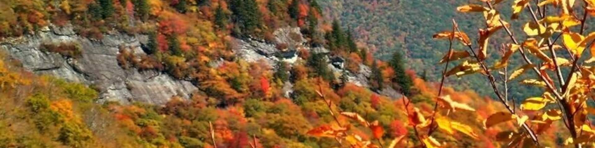 This photo was taken from the Blue Ridge Parkway, in Watauga County in Boone. I chose this to post this photo because it gave me an idea of the way the people that founded this county lived. They worked on these mountains and possible even lived of the land here. Also, when you look out into the miles of mountains, I get the feeling of safety knowing these mountains surround me, and thats how I feel the Appalachian community is, a safe and humble community.
#appalachianechoes