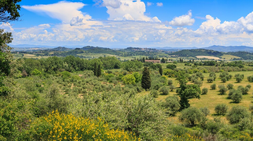 Landscape near Chiusi in Tuscany, Italy. Panoramic image stitched from several images.