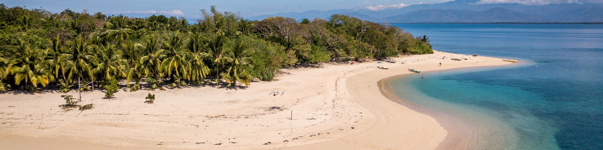 Una playa tropical con aguas turquesas cristalinas, una orilla arenosa y una densa hilera de palmeras.