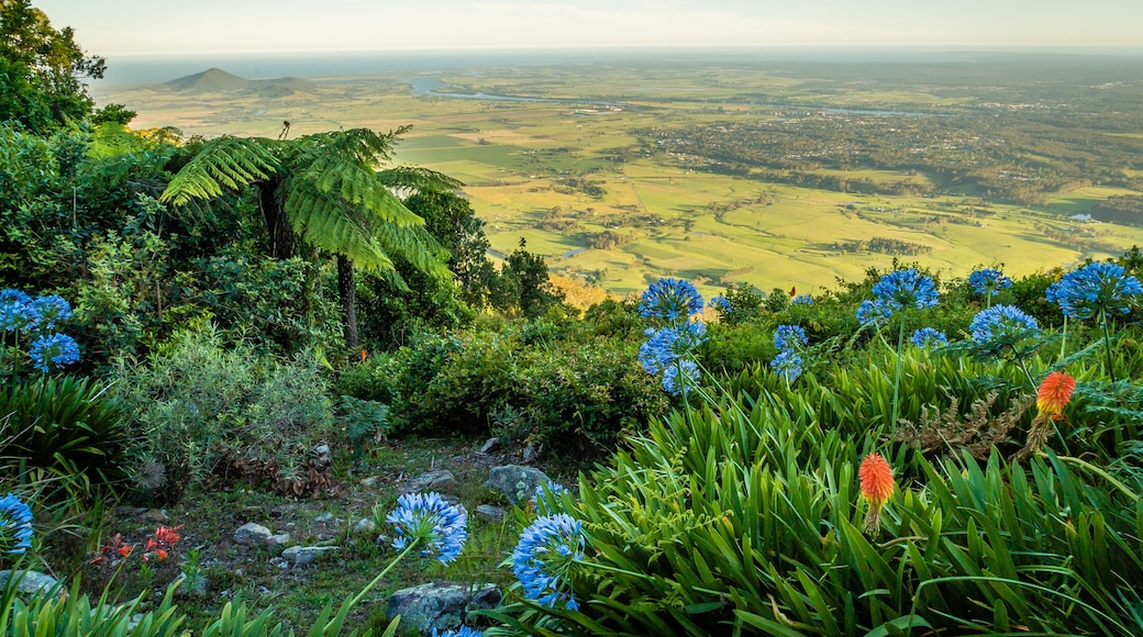 เบอร์รี