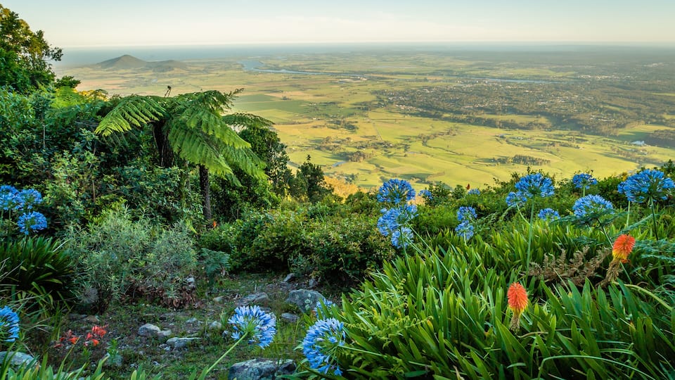 Cambewarra lookout with Berrys Bay and Shoalhaven river in the background