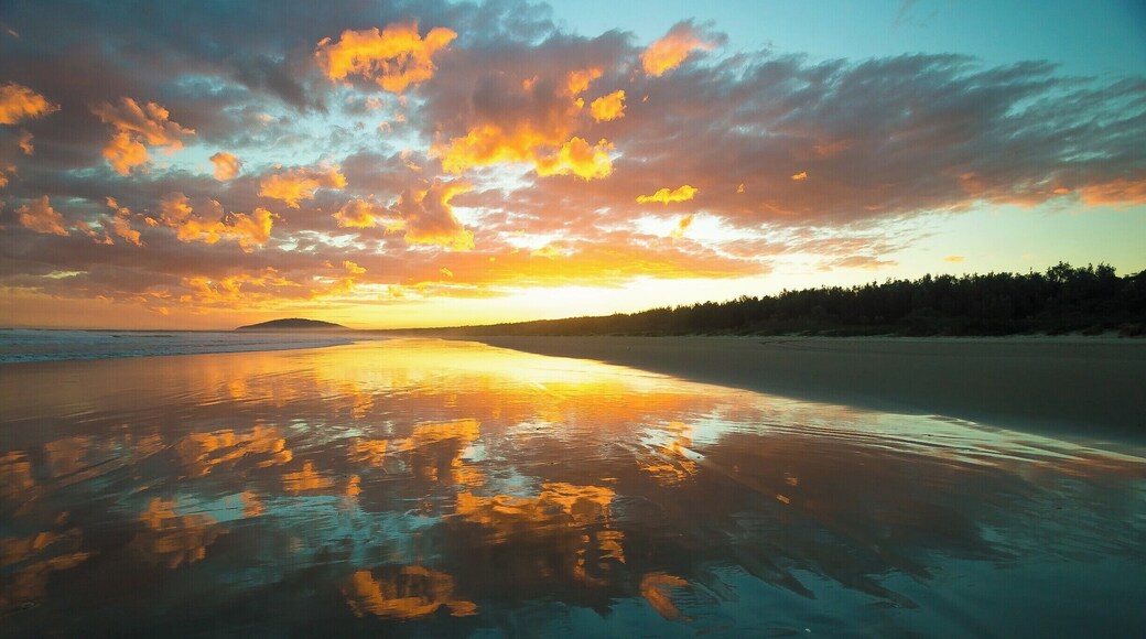 Australia, land of the beautiful sunsets.
When I think of Australia, I think of beautiful sunsets. This photo was taken last year on my 1 year backpacking trip through this beautiful country.
Probably the most astonishing sunset I’ve ever seen so far.
Crazy enough I was walking down the beach all alone while this explosion of magic happened in the sky. I was quit surprised actually that no one else came down to admire it.
“There's a sunrise and a sunset every single day, and they're absolutely free. Don't miss so many of them.” ― Jo walton
#BeachBound