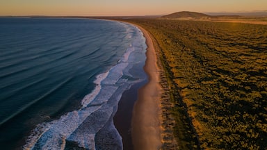 A coastal landscape with a sandy beach, ocean waves, and a hilly terrain in the distance.
