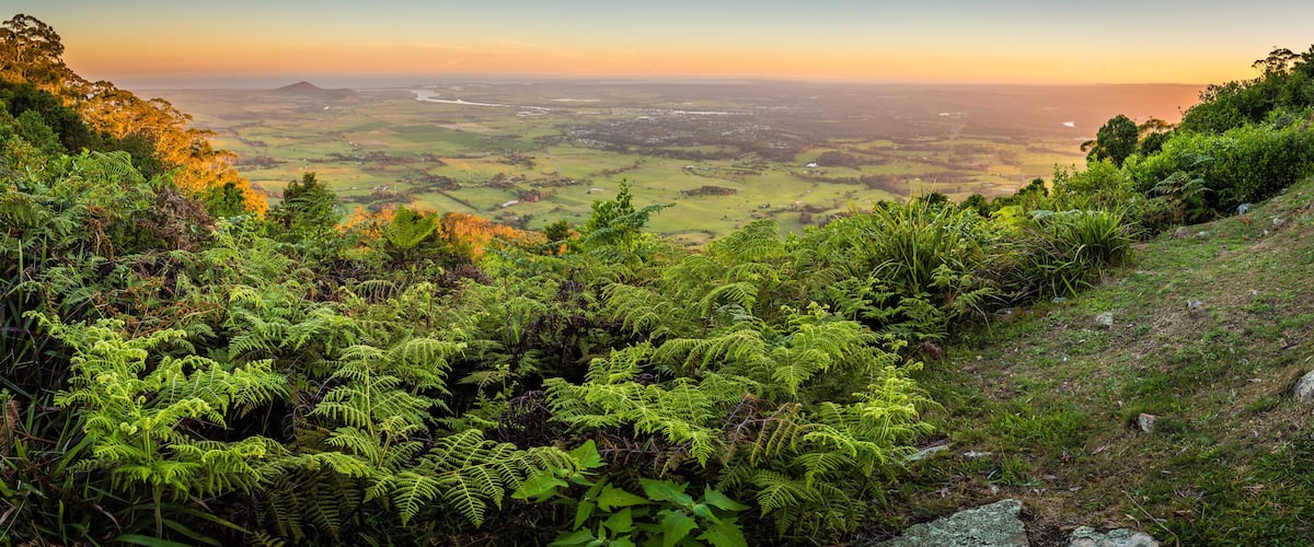 Cambewarra lookout at sunset in the summer, with Berrys Bay in the background