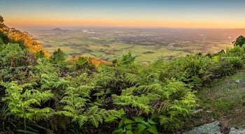 A lush green valley with dense ferns and a distant view of a cityscape during sunset.