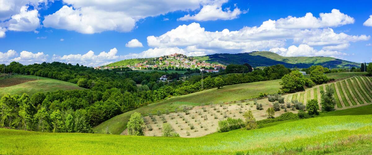 A lush green valley with terraced fields, a village on a hill, and rolling hills under a blue sky with clouds.
