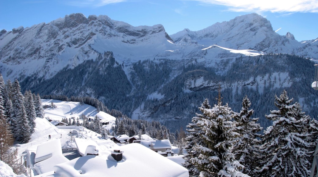 Gryon welches beinhaltet Berge, Kleinstadt oder Dorf und Schnee