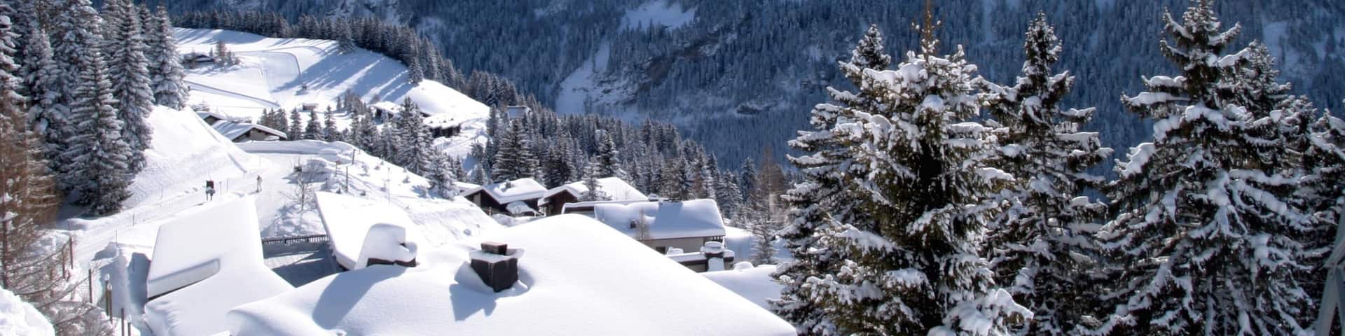 Gryon which includes a small town or village, snow and mountains