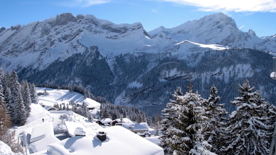 Gryon which includes mountains, snow and a small town or village