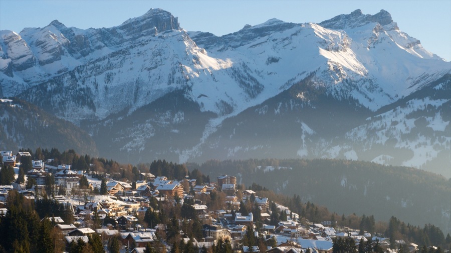 Gryon which includes snow, a small town or village and mountains