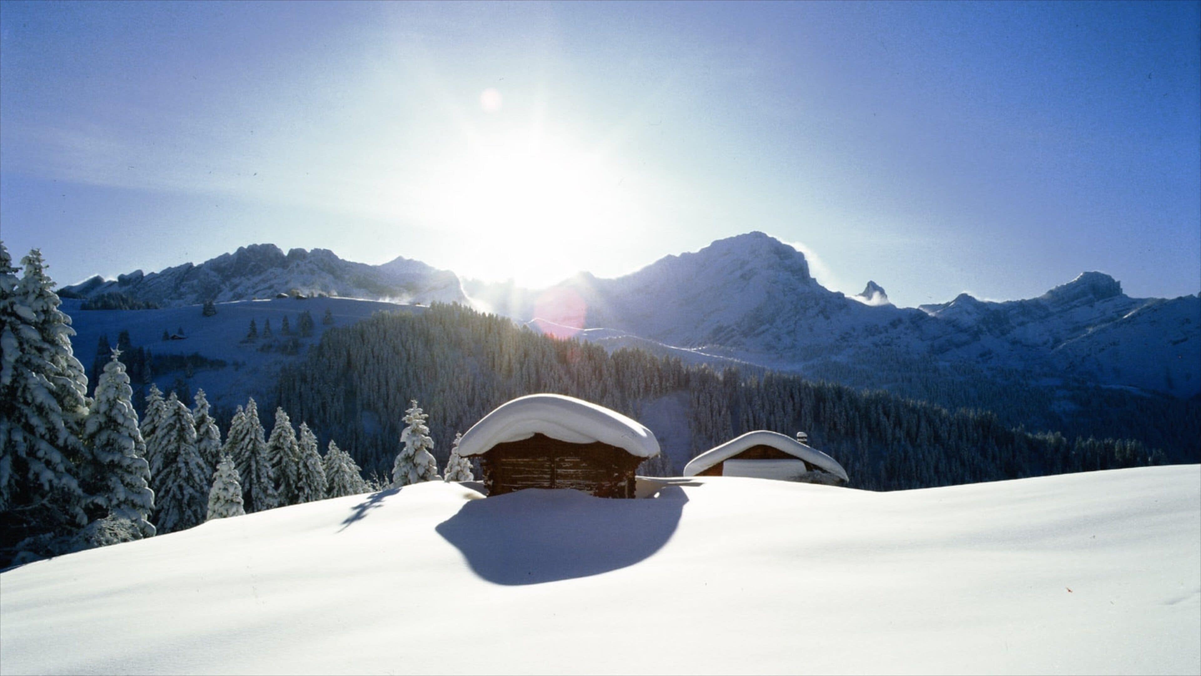 Gryon ofreciendo nieve, montañas y bosques