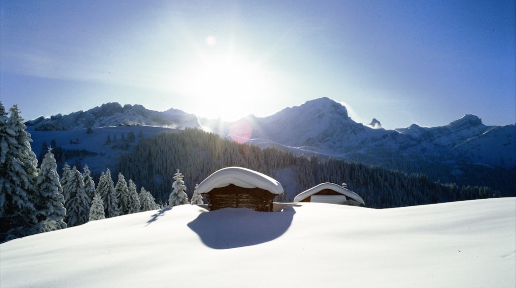 Gryon mit einem Wälder, Berge und Landschaften