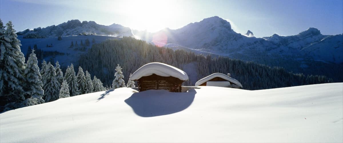 Gryon which includes mountains, a house and snow