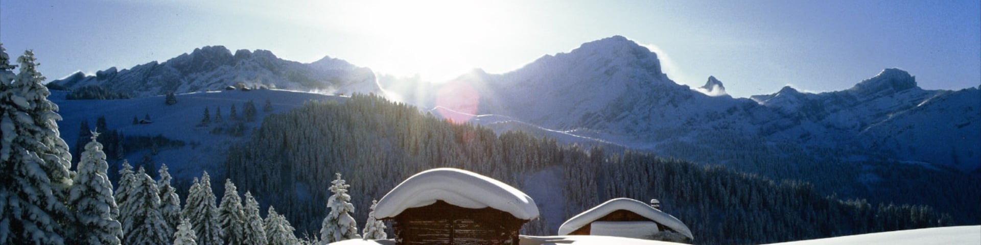 Gryon que incluye montañas, una casa y imágenes de bosques
