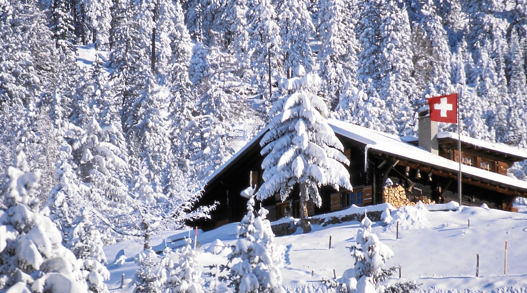 Villars das einen Waldmotive, Haus und Schnee