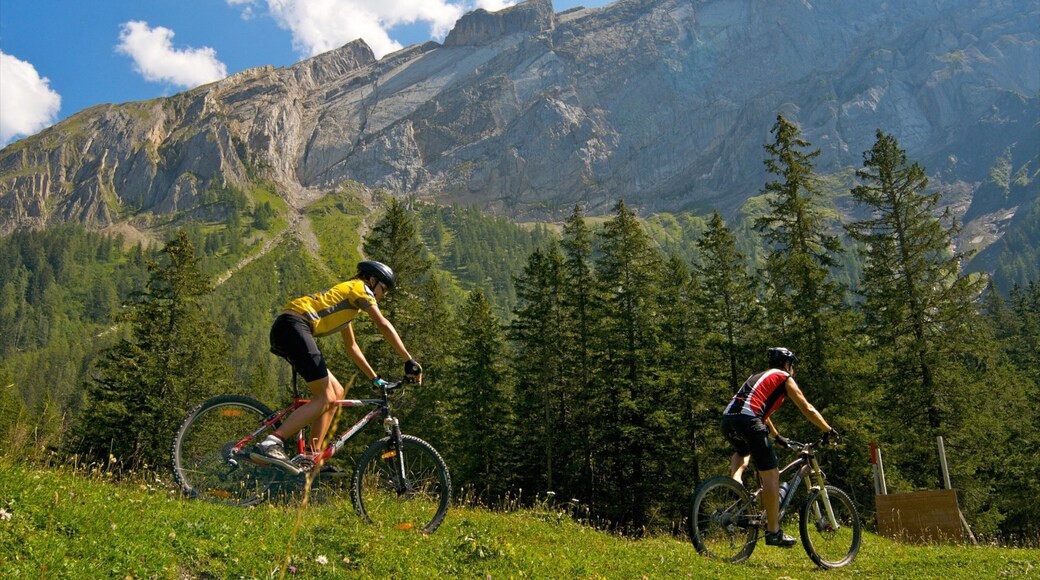 Gryon mostrando montanhas, ciclismo e cenas de floresta