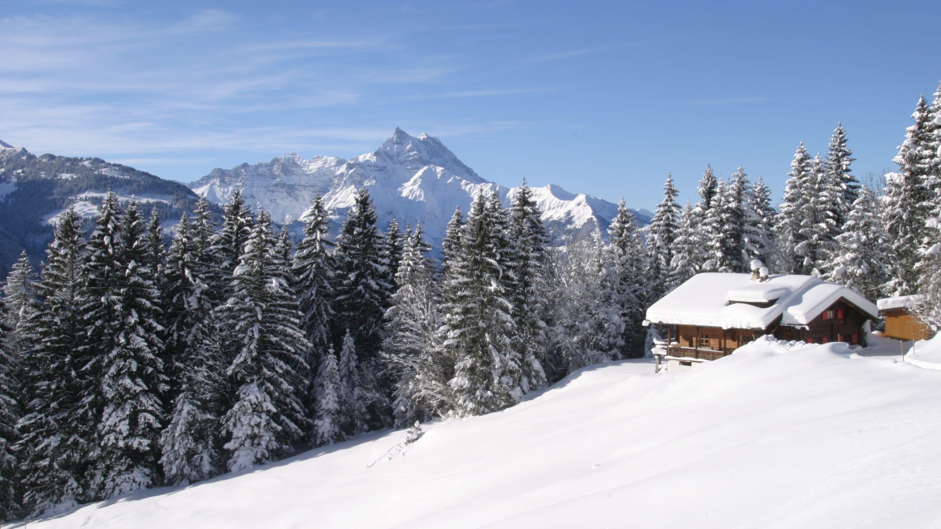 A snow-covered mountain landscape with a wooden cabin and evergreen trees.