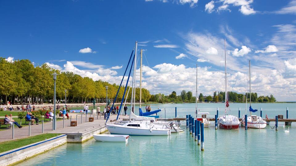 A marina with several sailboats docked, a walking path with people, and a clear blue sky.