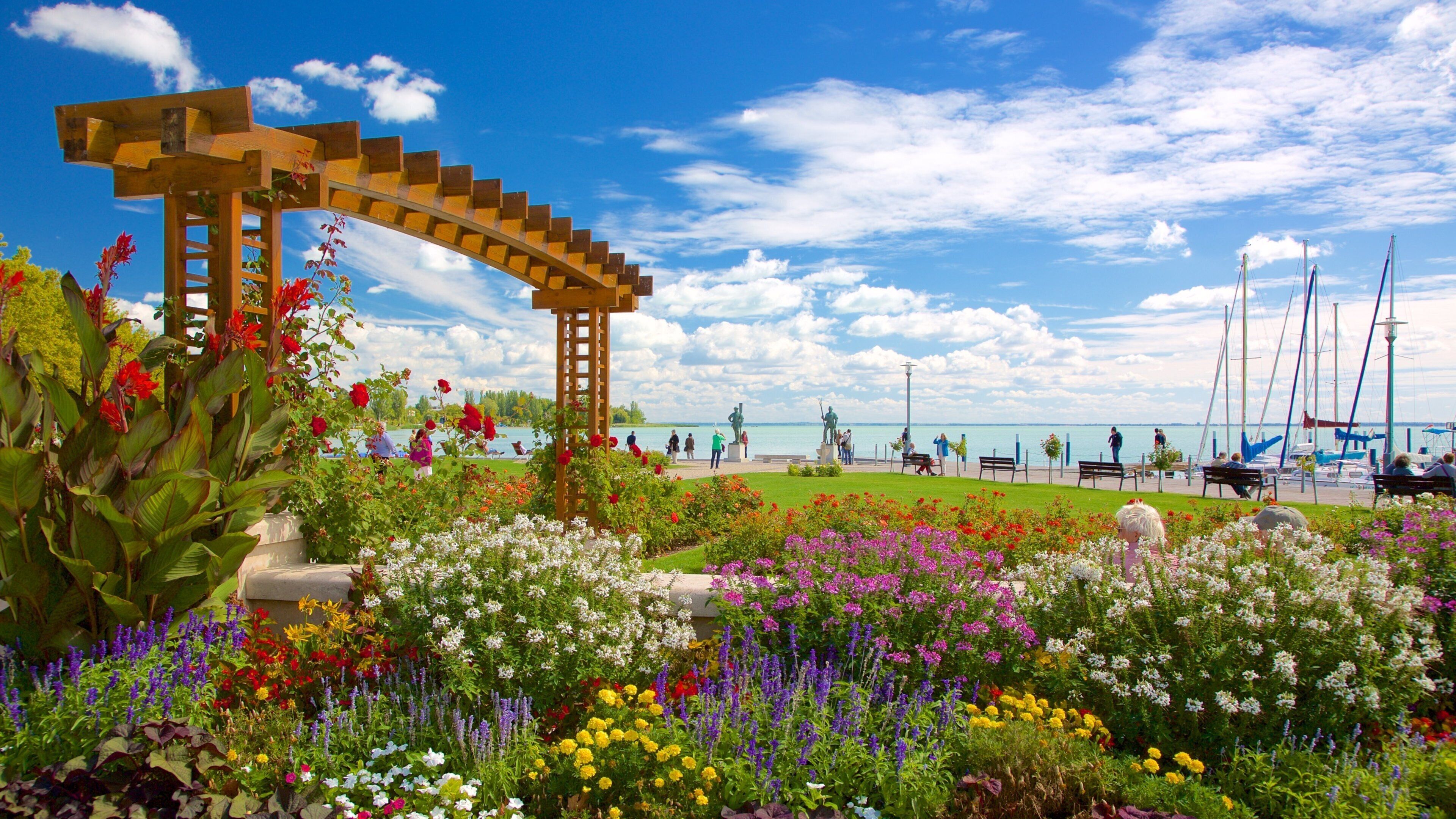 Balatonfured featuring general coastal views, flowers and a park