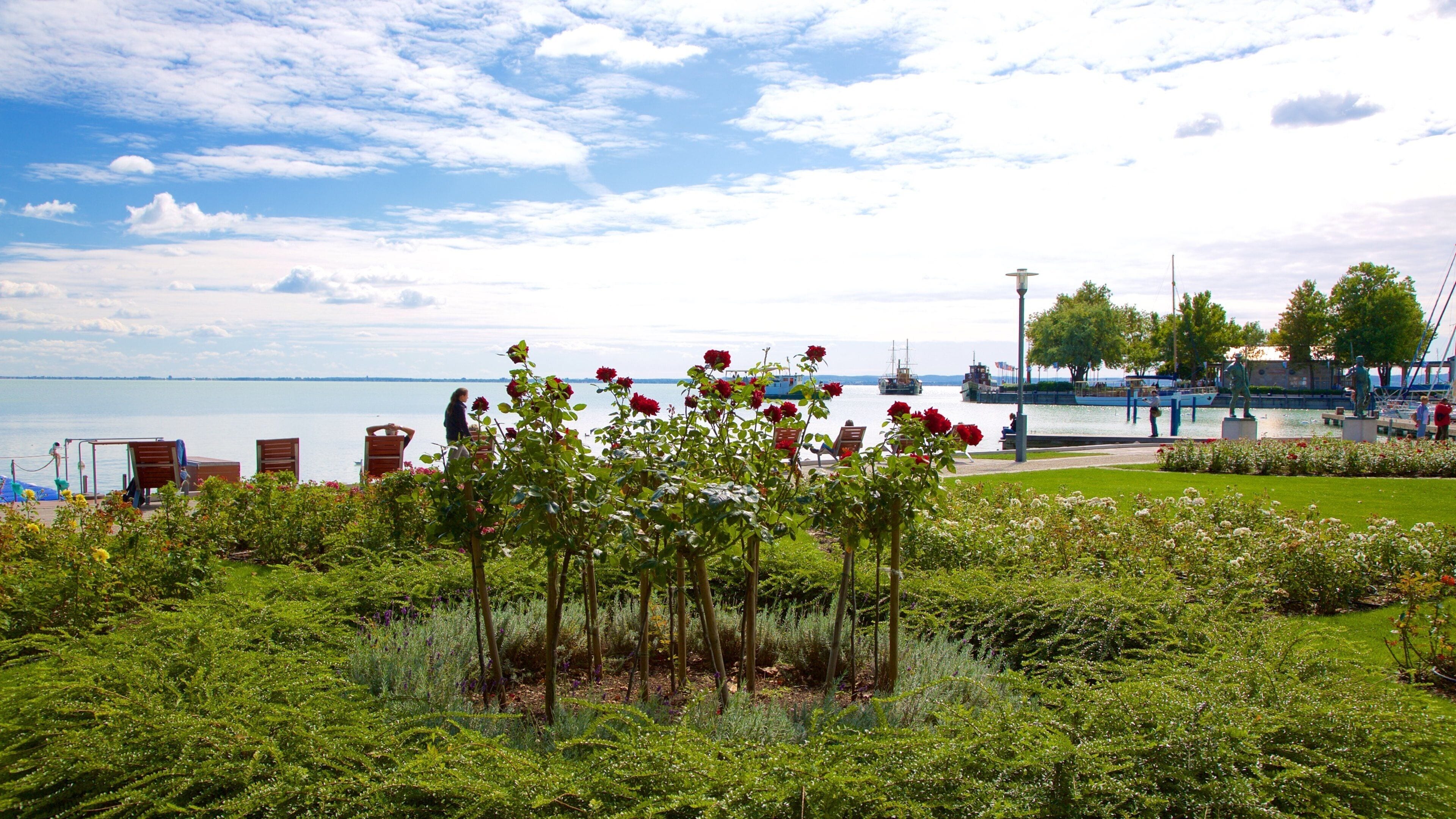 A garden with roses, a lake, and a statue.