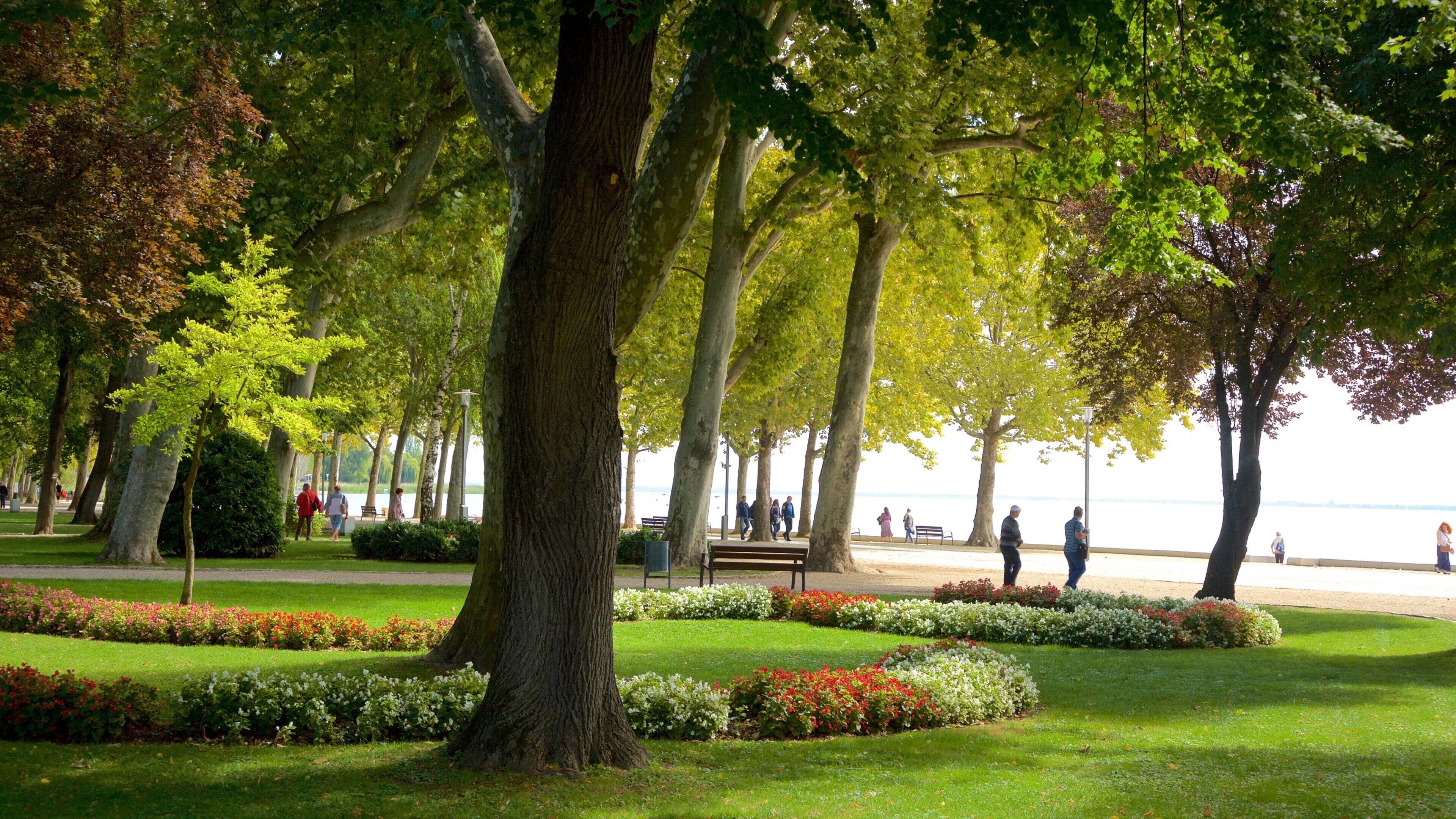 Balatonfured showing flowers, a park and general coastal views