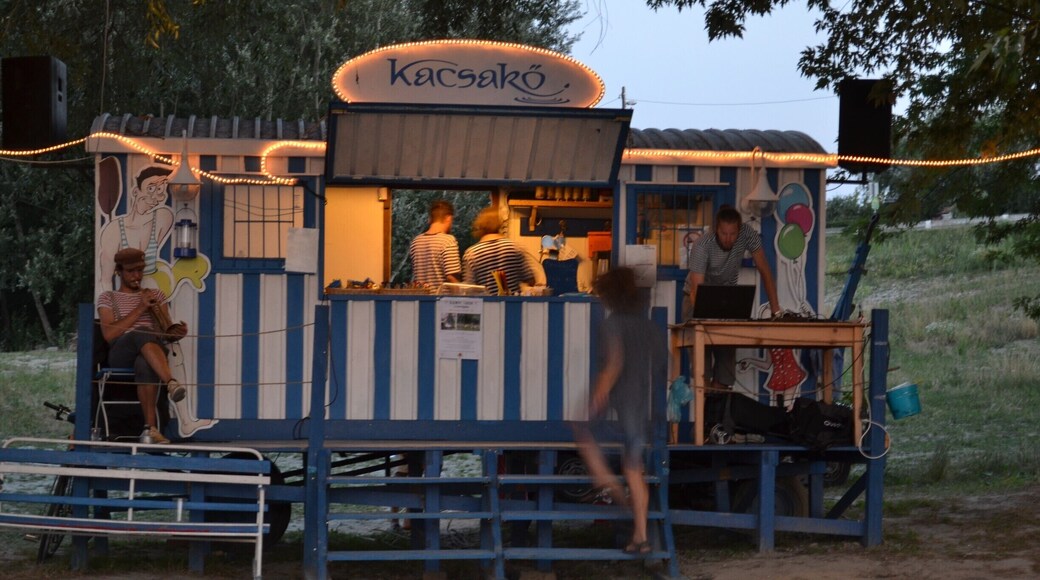 Summer bar at the beach with life music