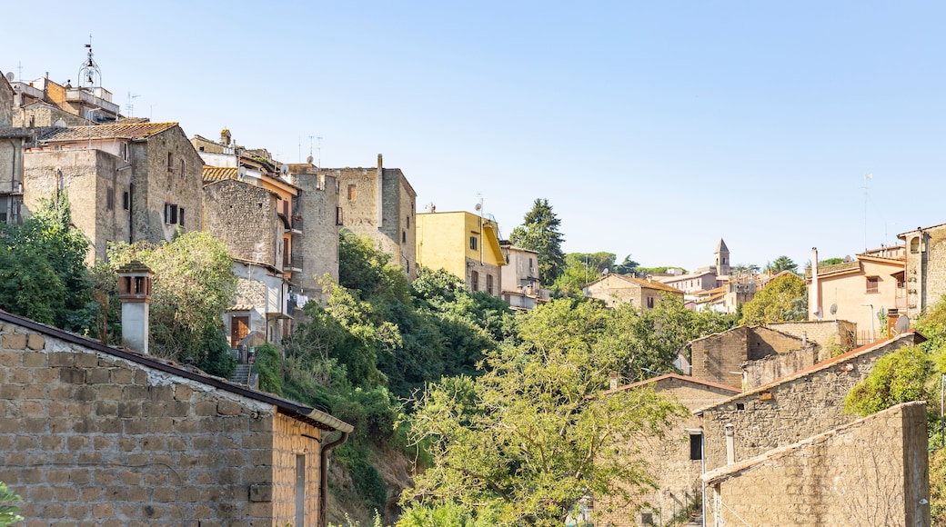 坎帕尼亞諾迪羅馬