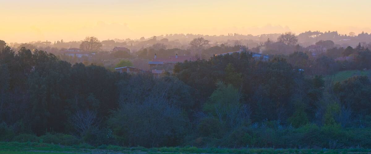 A rural landscape with scattered houses, dense trees, and a hazy sky.