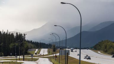 View from Harvie Heights