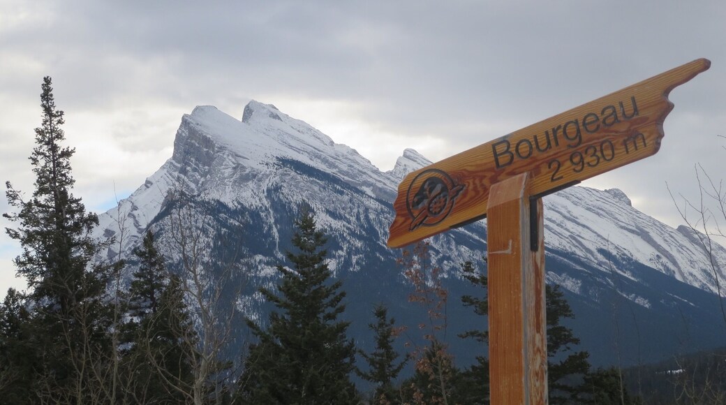 Taken in Banff National Park. Photo is of Mt. Rundle. #canada #banffnationalpark #mountain