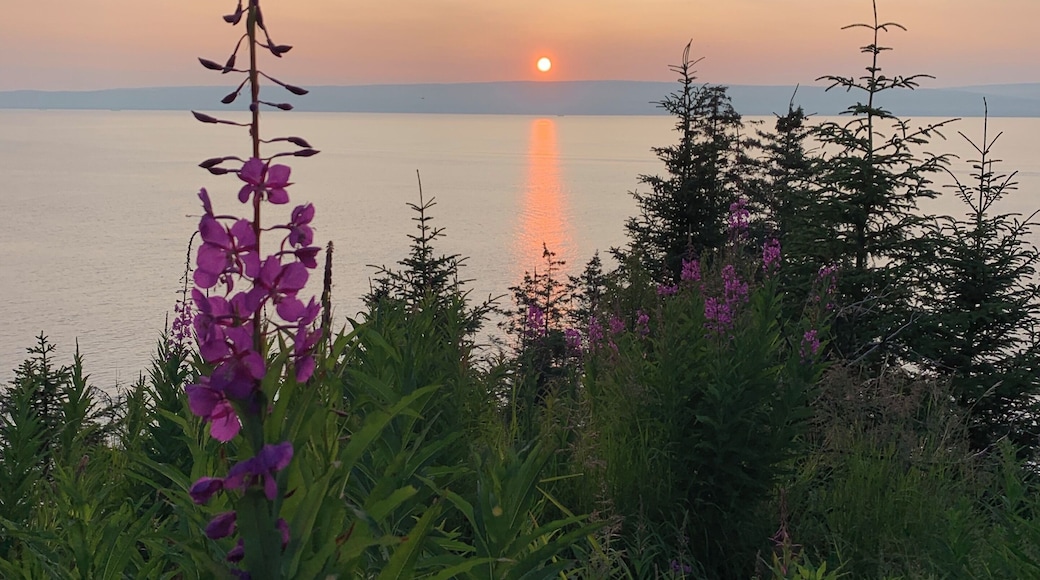 Smokey wildfire sunset and fireweed overlooking Kachemak Bay. #Adventure
