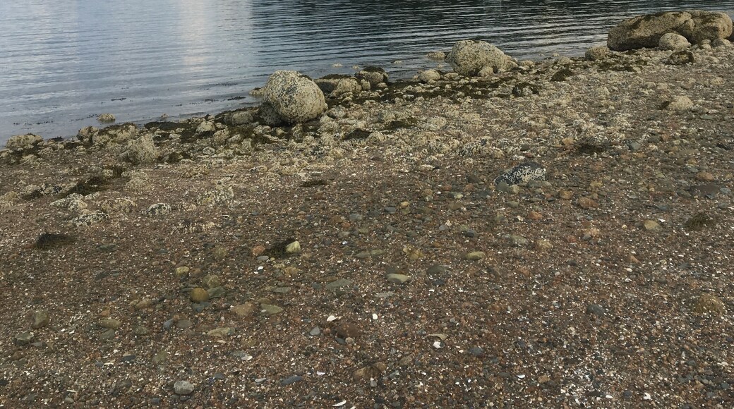 #lifeatexpedia
Maine beaches are so peaceful!