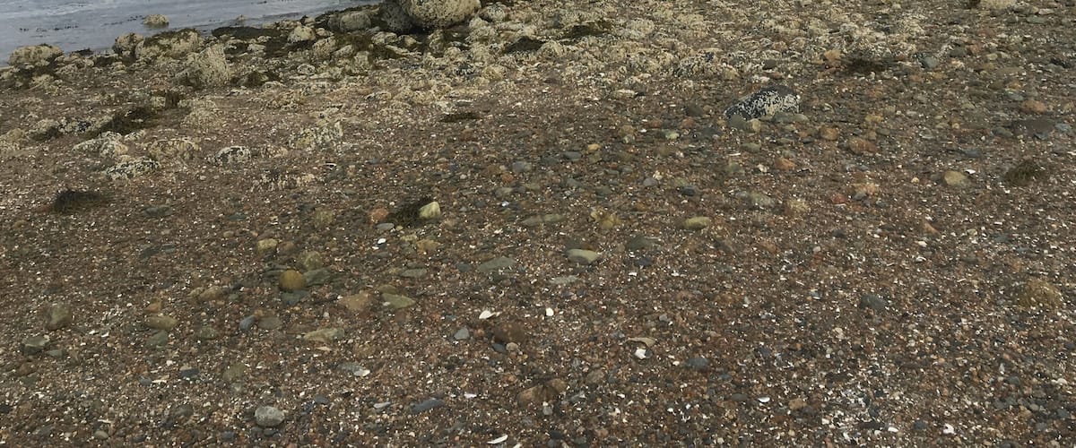 #lifeatexpedia
Maine beaches are so peaceful!