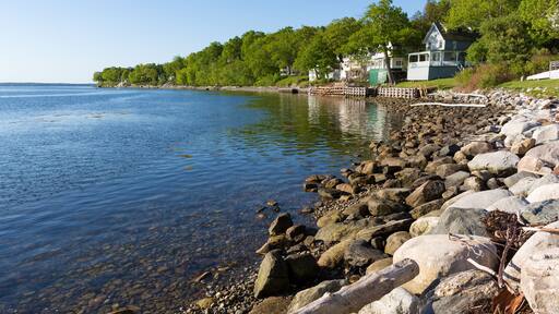 View of a rocky coastline in the foreground with small vacation cottages in the background at Northport, Maine in the early morning light.; Shutterstock ID 431444011; Purchase Order: -
