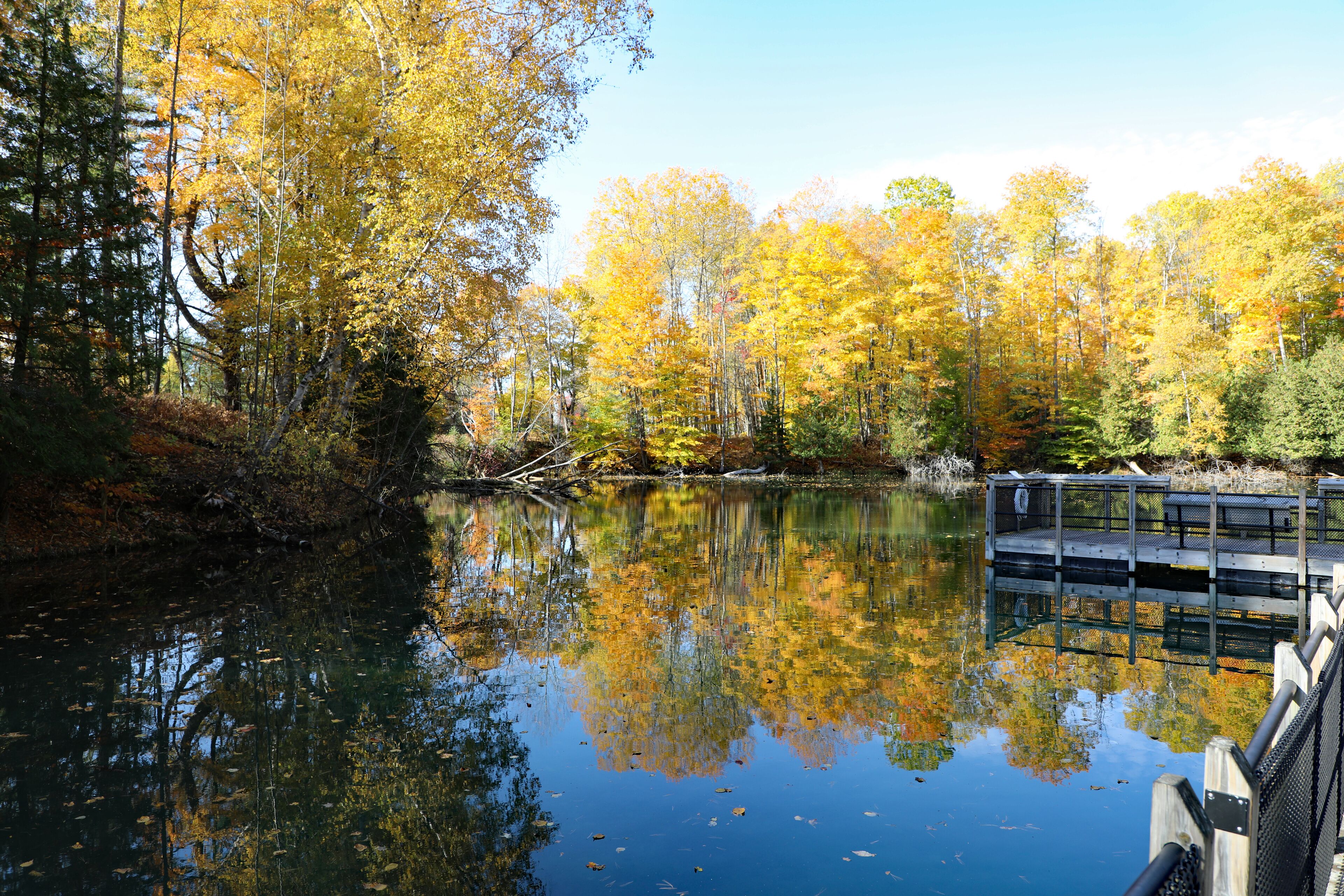 Hiking trails and a large series of freshwater ponds at the fish hatchery in Northern Michigan in Oden, near Alanson, two rural small towns.