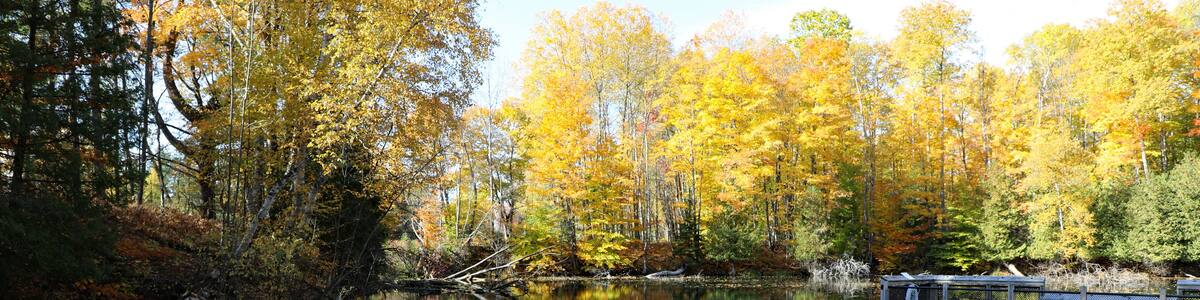 Hiking trails and a large series of freshwater ponds at the fish hatchery in Northern Michigan in Oden, near Alanson, two rural small towns.